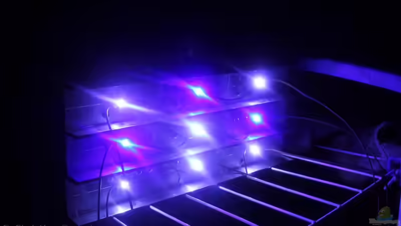 Lampe von unten, die Farben sind leider total verfälscht. weiß stimmt, das rötliche von chrisi01 (12)