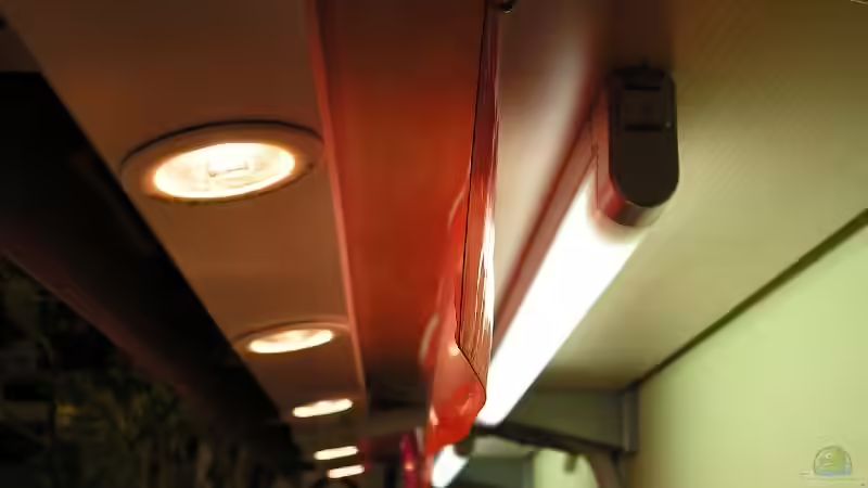 Lampen, variabel zu schalten von Manuela Vogt (10)