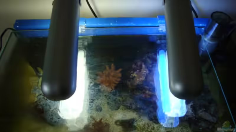 Lampen von B1gT4nk (22)