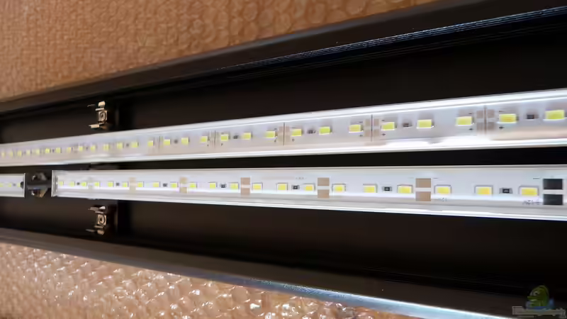 Aquarien mit Produkten von LEDaquaristik.de