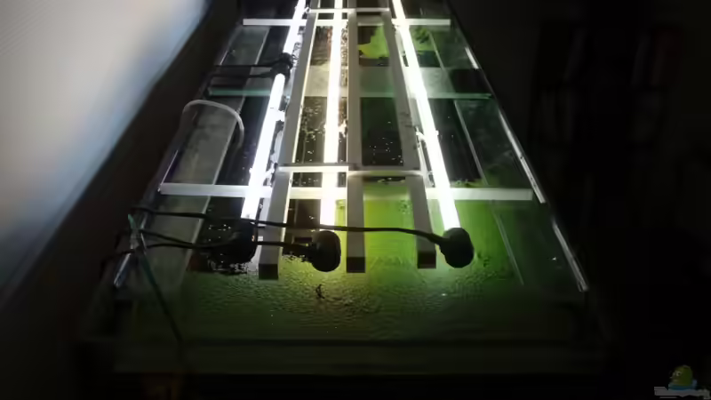 Lampengestell mit 2x54 Watt T5 und 2x 24 Watt T5 Beleuchtung von ~Marco~ (45)