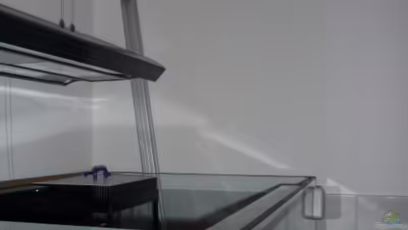 Lampengestell nach hinten geschoben von OldFriend (24)