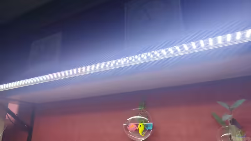 Lampenladen von ErfurtOldy (18)