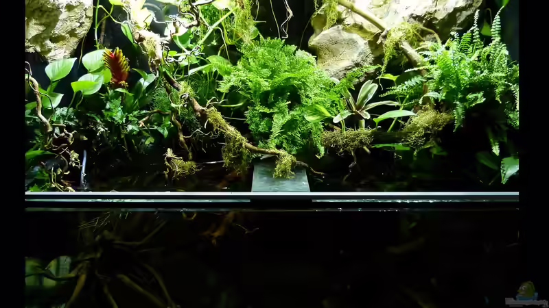 Land und Wasser 17.09.15 von ~Marco~ (25)