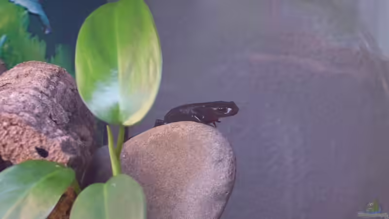 Landgang von Nicky (11)