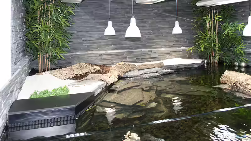 Landpart mit 680 Liter Volumen von Hoppe-Terrarienbau (3)