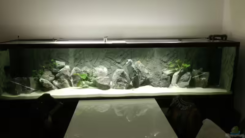 Landschaft fertig von Andreas Rieger (6)