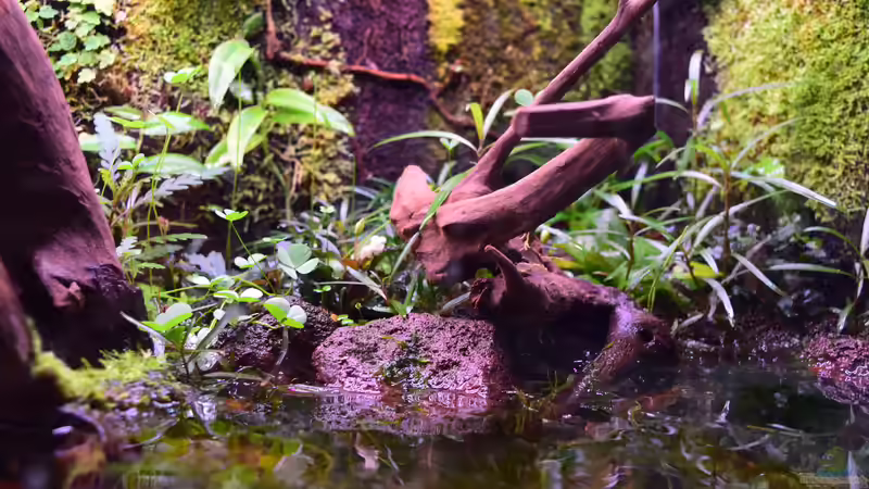 Landteil 01.04.2019 von Junglist (29)