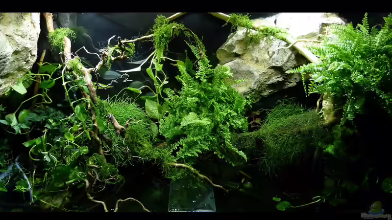 Landteil 04.08.15 von ~Marco~ (8)