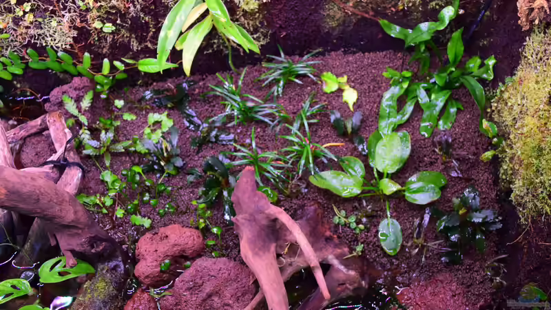 Landteil 15.02.2019 von Junglist (20)