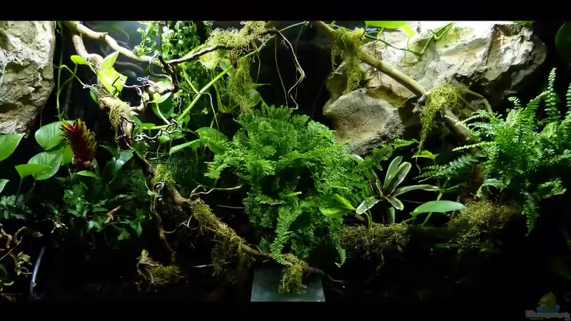 Landteil 17.09.15 von ~Marco~ (24)