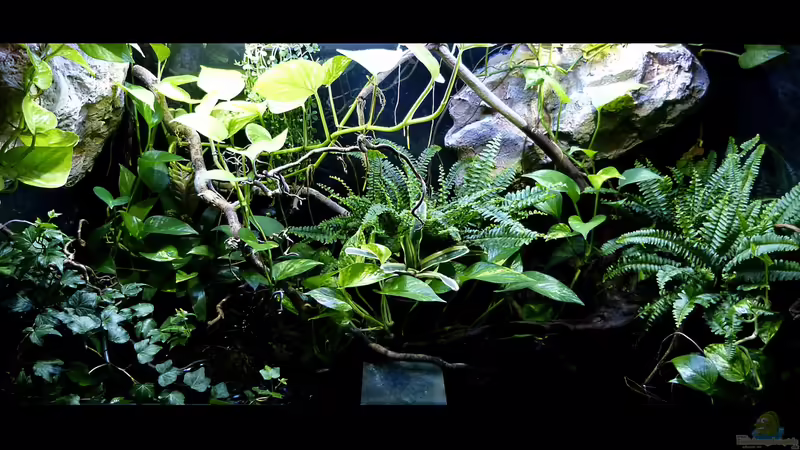 Landteil 22.11.15 von ~Marco~ (29)