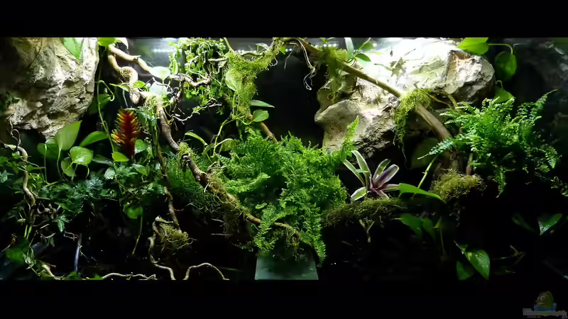 Landteil 23.08.15 von ~Marco~ (19)