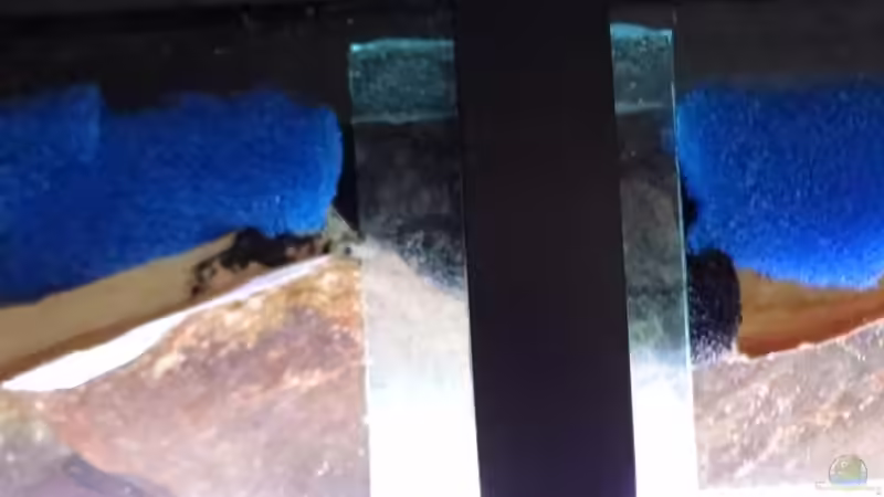 Landteil für Malawikrabbe von TheToxicAvenger (22)