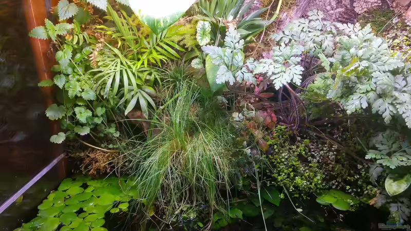 Landteil links von Tino Georgi (5)