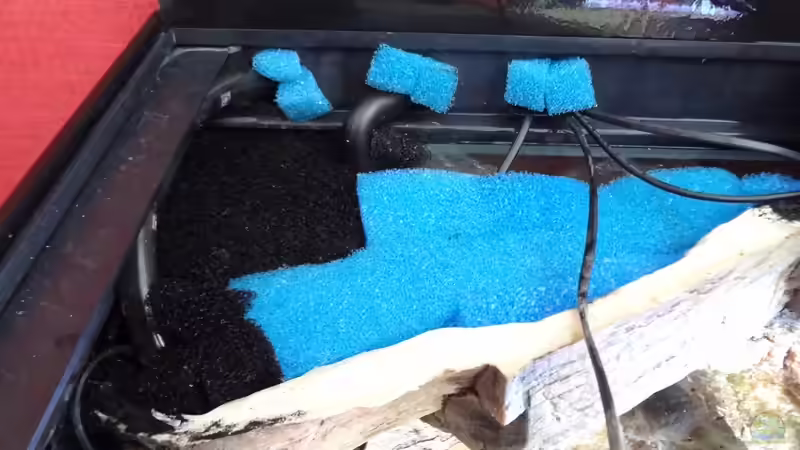 Landteil Malawikrabbe von TheToxicAvenger (20)