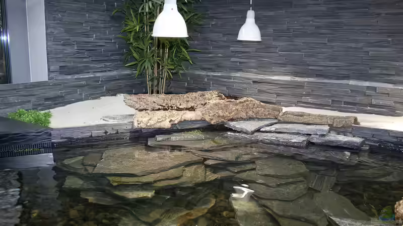 Landteil mit 680 Litern von Hoppe-Terrarienbau (4)