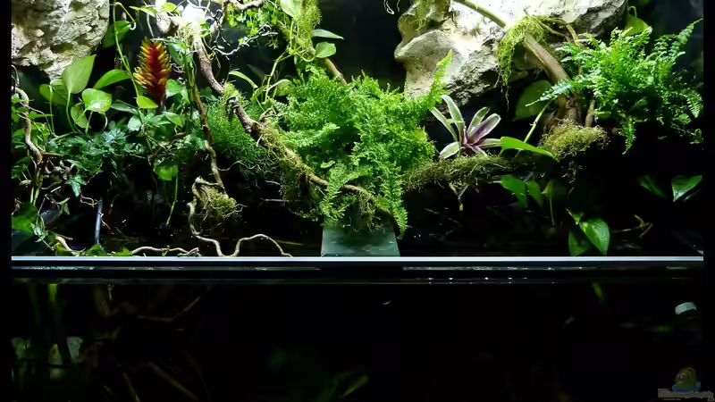 Landteil mit bisserl Wasser 23.08.15 von ~Marco~ (20)