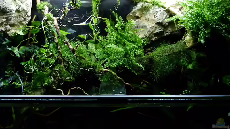 Landteil mit bissl Wasser :-) 04.08.15 von ~Marco~ (7)