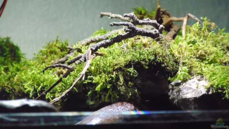 Landteil von Markaroni (11)