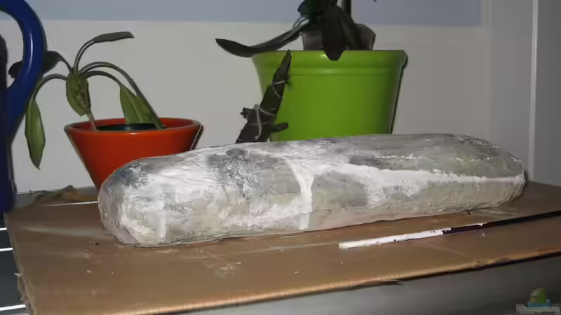 langer flacher Felsen aus Styrodur und Zement (schwimmt, dewegen im Becken mit einem von der Theoretiker (55)