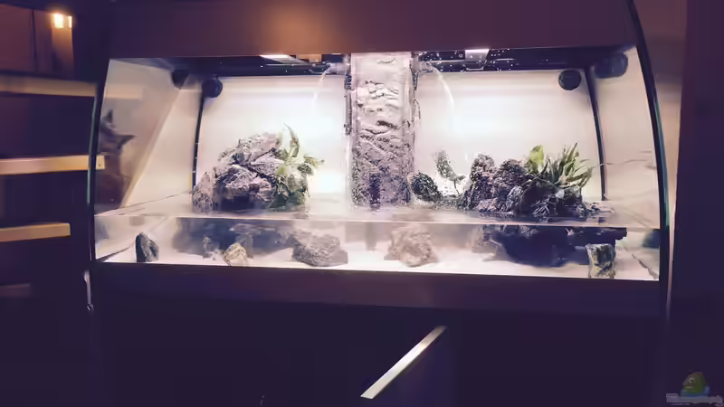 Langsam füllt sich das Becken von dennel (2)