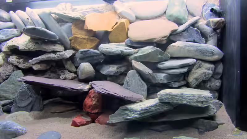 langsam nimmt es Gestalt an von Mbuna (18)