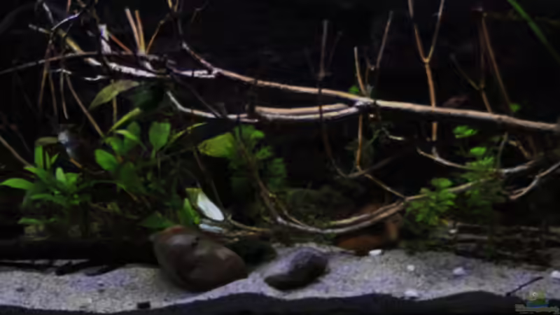 Langsam wird das Licht heller von Florian Bandhauer (11)