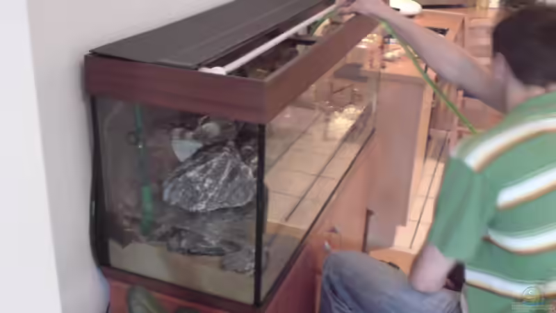 Langsam wird das Wasser eingelassen. von FinalDragon (13)