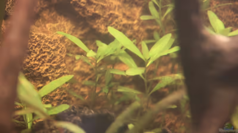 Langsam wird es grüner von Maximilian Landrock (6)