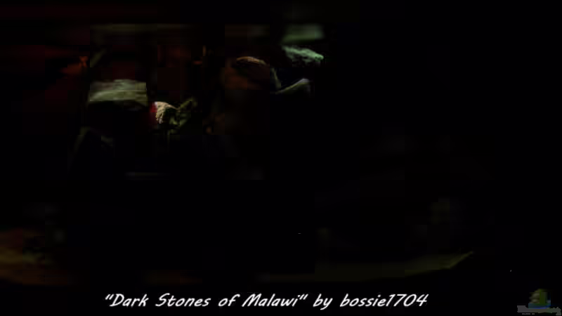 Langsam wird es heller - blau noch nicht zugeschaltet von bossie1704 (14)