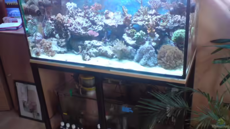 langsam wird´s doch von Daniel Reichl (1)