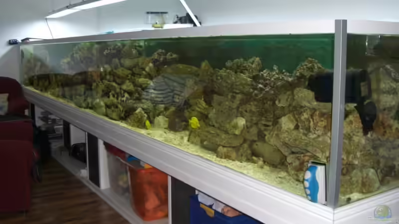 Langsam wird`s interesant. von Zornrocco (5)