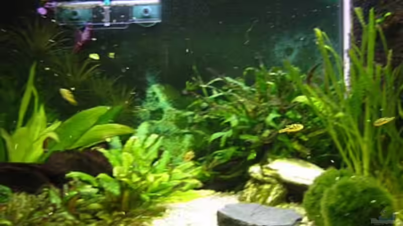 Langsam wird´s von Christina Studt (8)