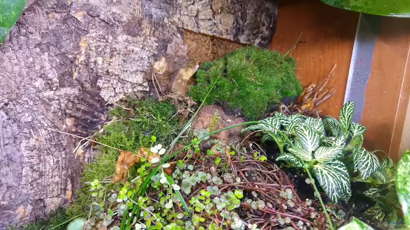 Lansteil rechts von Tino Georgi (6)