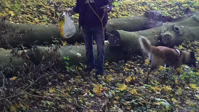 Laub sammeln im Wald;-) von Florian Bandhauer (54)