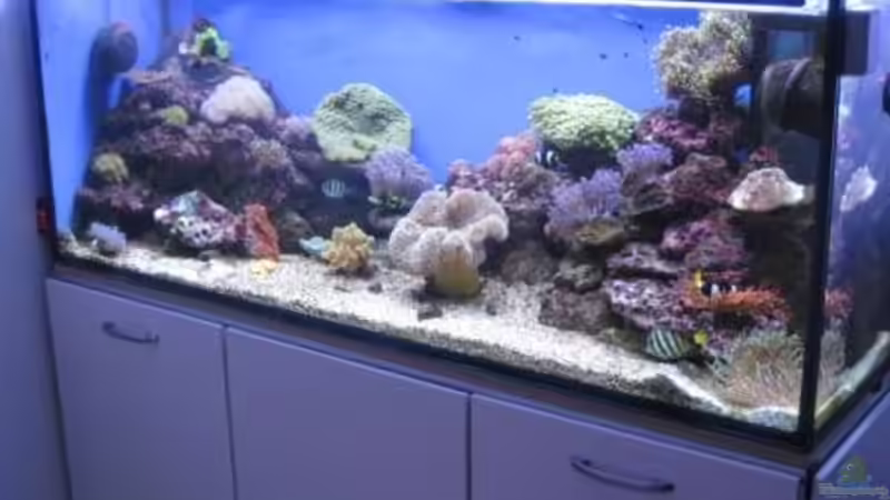 Laufzeit 6 Monate von Harald (1)