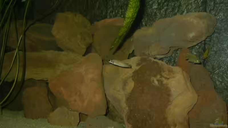 Lava Gestein von Thomas Kowollik (6)