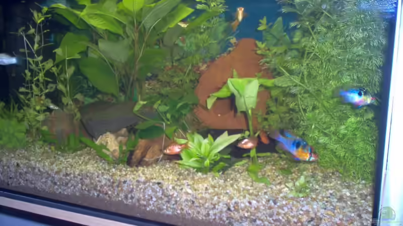 Lavagrotte von Andre Berke (4)