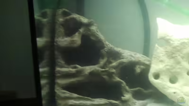 Lavahöhle bevor das Lochgestein ins Becken kam von Crashdragon (11)