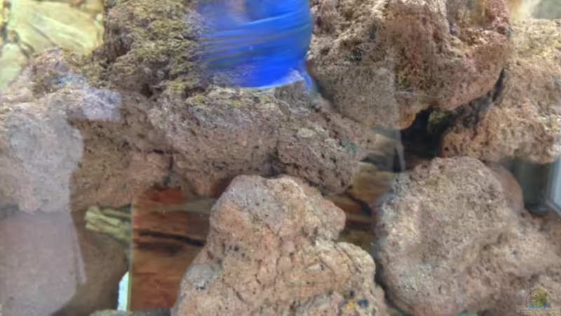 Lavahöhlen von Alexander Mayer (17)