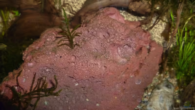 Lavastein von Deino (15)