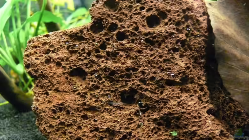 Lavastein von Die kleine Meerjungfrau (7)