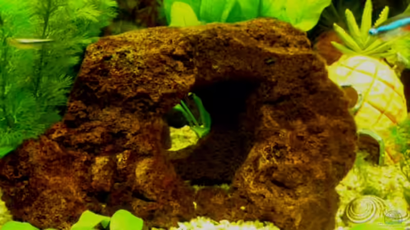 Lavastein von DouDou (8)