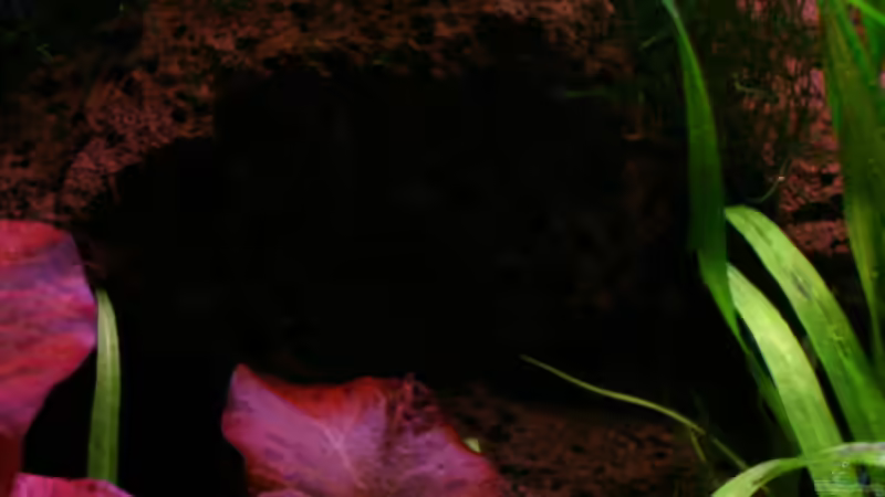 Lavastein von Sabrina Schäfer (10)