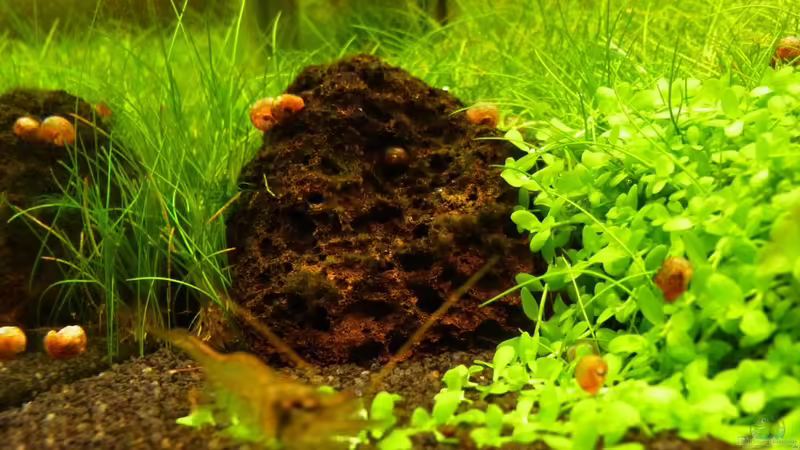 Lavastein von YoshiMaus (15)