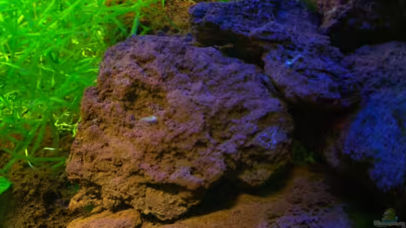 Lavasteine von Harry Otterbach (6)