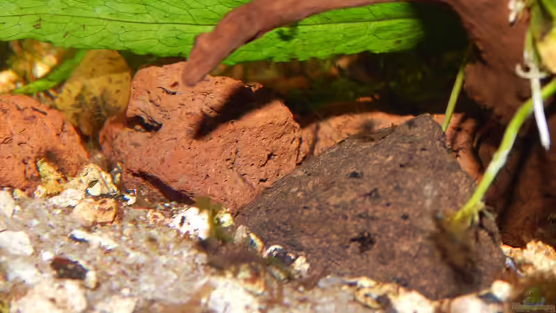 Lavasteine von Stefan_S (20)