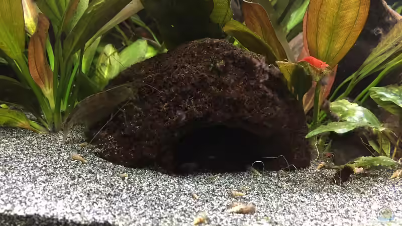 Lavasteinhöhle von Danny (29)