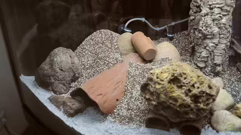 Layout 2016: Fertig eingekiest von Peter Vlasaty (15)